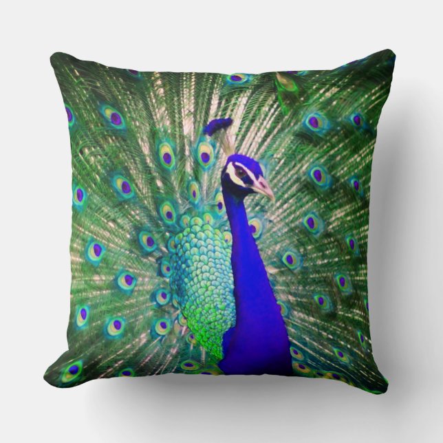 Peacock Throw PIllow (Front)