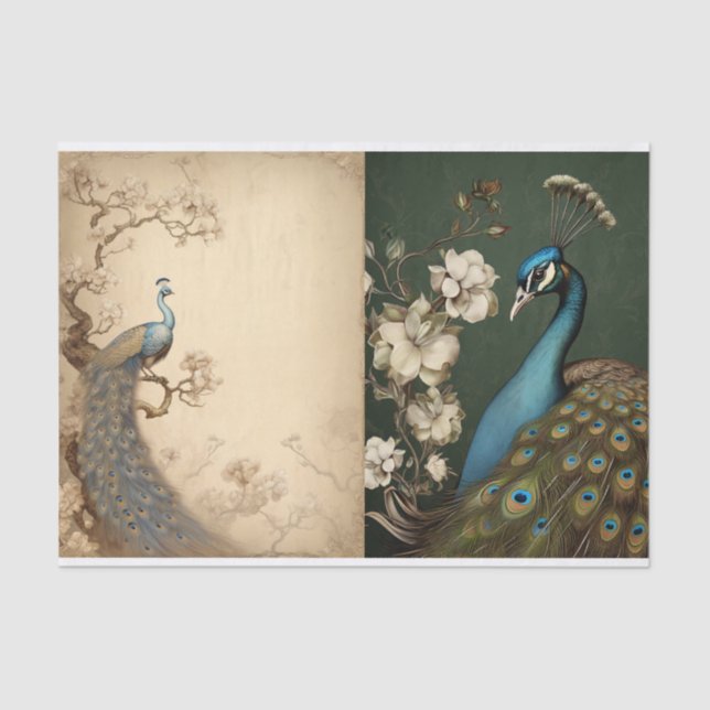 Peacock Tissue Page Paper (Front)