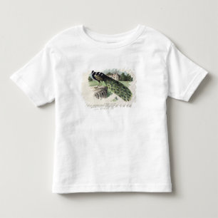 Peacock Toddler T-Shirt