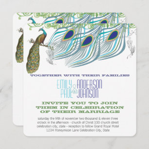 Peacock Vintage 3 Feathers with Peacock Invitation