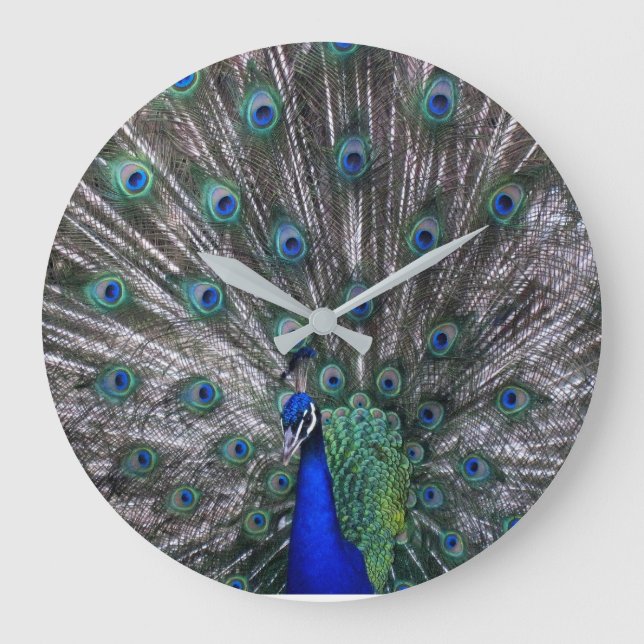 Peacock Wall Clock (Front)