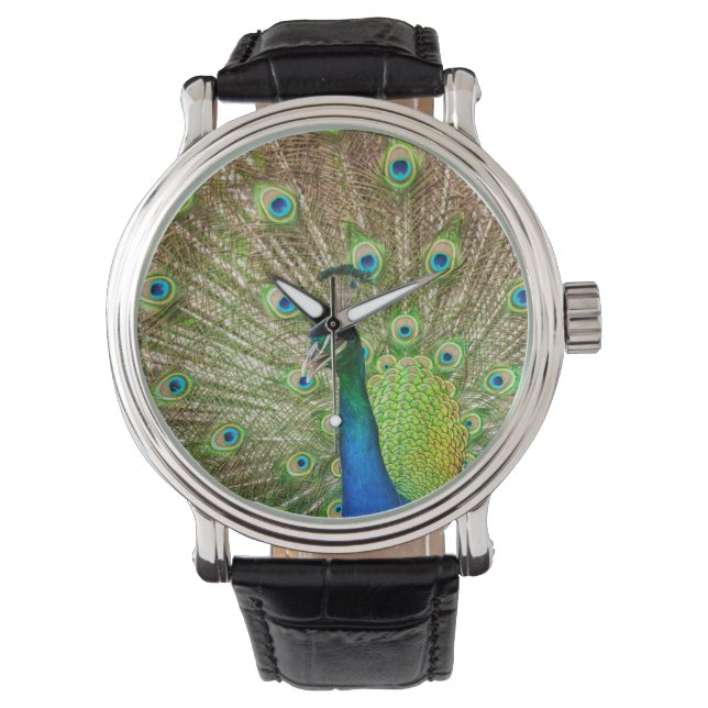 Peacock Watch (Front)