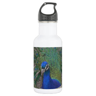 Peacock Water Bottle