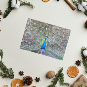 Peacock Wearing Red Santa Cap Funny Holiday Card