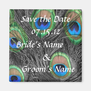 Peacock Wedding Magnet