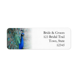 Peacock Wedding Theme 1 Return Address Label