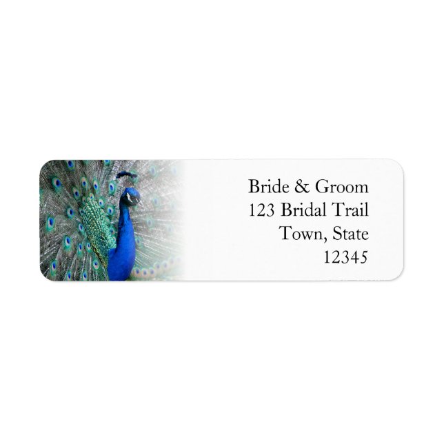 Peacock Wedding Theme 1 Return Address Label (Front)