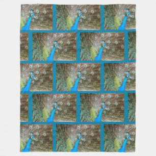 Peacock with Feathers Fanned - Wildlife Bird Photo Fleece Blanket