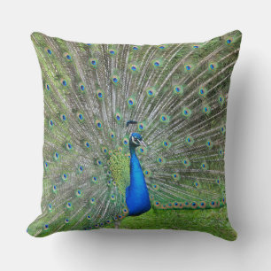 Peacock with open tail cushion