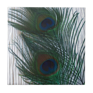 Peacock with White Ceramic Tile
