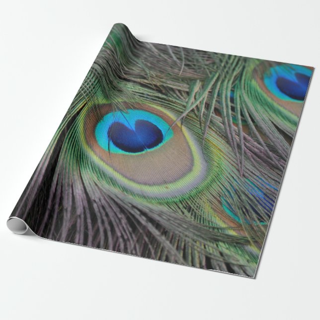 Peacock Wrapping Paper (Unrolled)