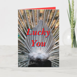 Peacockbutt card2-customise any occasion card