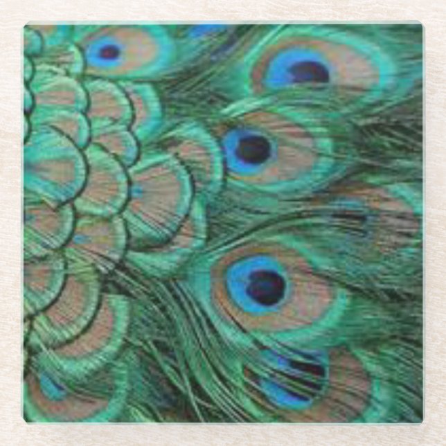 peacocks feather 1 glass coaster (Front)
