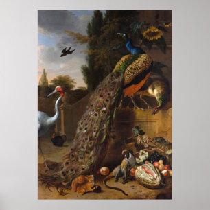 Peacocks - Melchior d' Hondecoeter Poster