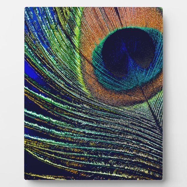 Peacocok Feather Bohemian Plaque (Front)