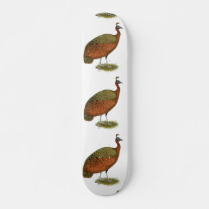 Peafowl:  Congo Peahen Skateboard