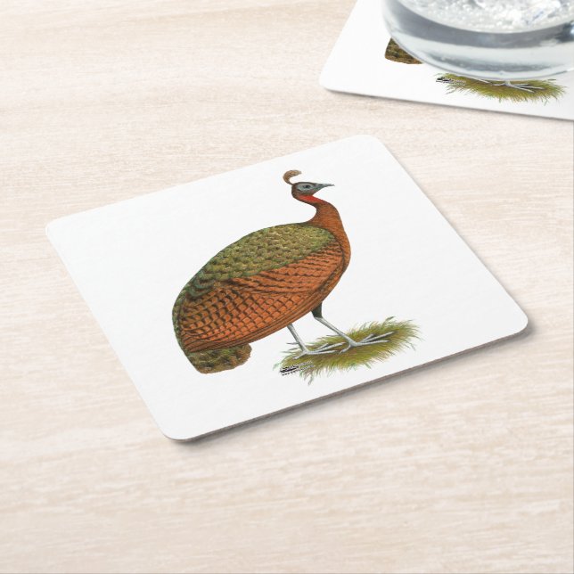 Peafowl:  Congo Peahen Square Paper Coaster (Angled)