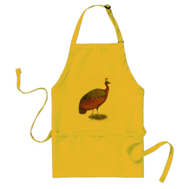 Peafowl:  Congo Peahen Standard Apron (Front)