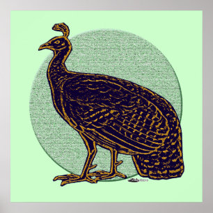 Peafowl:  Impressionistic Congo Hen Poster
