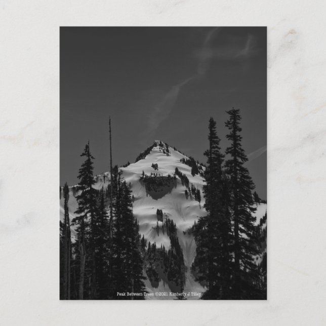 Peak Between Trees Postcard (Front)