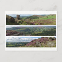 Peak District heather panoramas