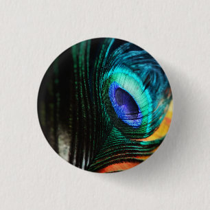 Peakcock Feather up close and Personal 3 Cm Round Badge