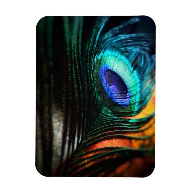 Peakcock Feather up close and Personal Magnet (Vertical)