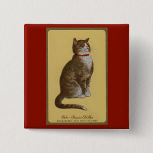 Peake, Chessie’s Old Man tomcat tabby cat 15 Cm Square Badge