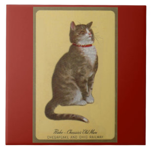 Peake, Chessie’s Old Man tomcat tabby cat Tile