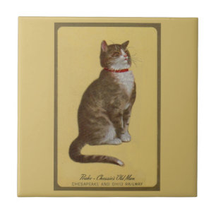 Peake, Chessie’s Old Man tomcat tabby cat Tile