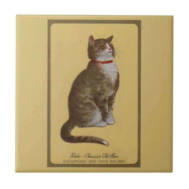 Peake, Chessie’s Old Man tomcat tabby cat Tile (Front)