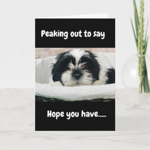 "PEAKING OUT TO SAY" HAVE A VERY HAPPY EASTER DAY HOLIDAY CARD