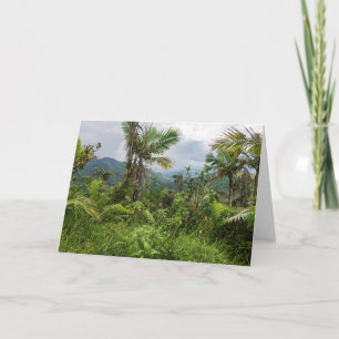 Peaks and valleys of el yunque card