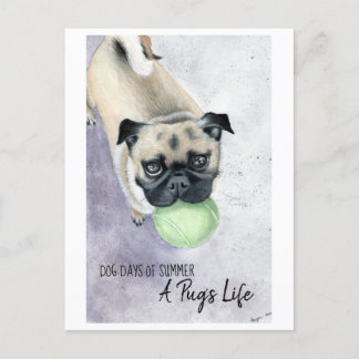 Peanut and her Ball Postcard