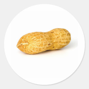 Peanut Classic Round Sticker
