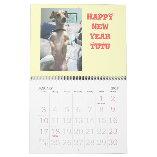 Peanut the Chiweenie Calendar (Jan 2027)