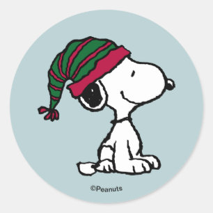 Peanuts All The Trimmings Classic Round Sticker