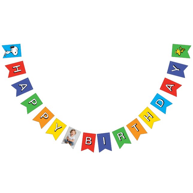 Peanuts | Charlie Brown and Gang Birthday Bunting (All)