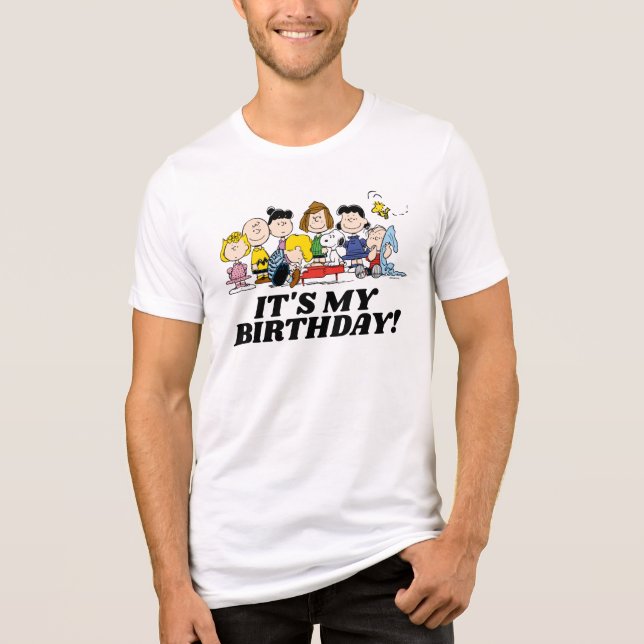 Peanuts | Charlie Brown and Gang It's My Birthday Tri-Blend Shirt (Front)