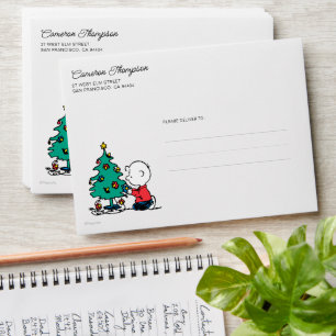 Peanuts   Charlie Brown Christmas Lights Envelope