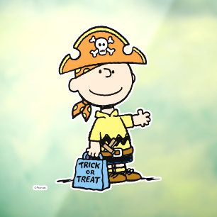 Peanuts Charlie Brown Pirate Halloween