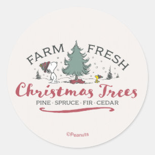 Peanuts Farm Fresh Christmas Trees Classic Round Sticker