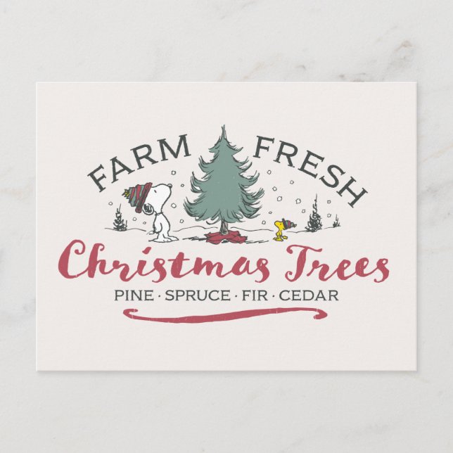 Peanuts | Farm Fresh Christmas Trees Postcard (Front)