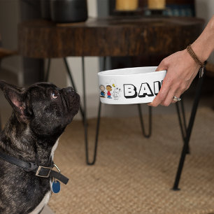 Peanuts Gang Group Lineup Bowl