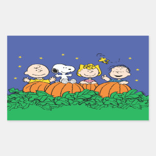 Peanuts   It's The Great Pumpkin Charlie Brown Rectangular Sticker