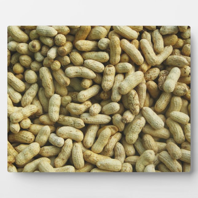 Peanuts Plaque (Front)