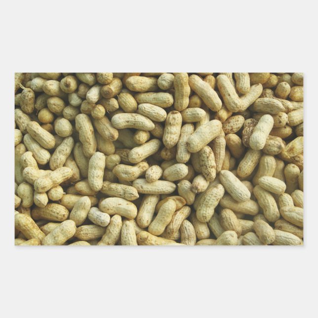 Peanuts Rectangular Sticker (Front)