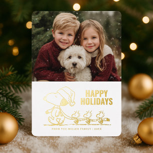 Peanuts Snoopy and Woodstock Holiday Photo