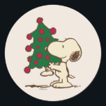 Peanuts | Snoopy Christmas Tree Classic Round Sticker<br><div class="desc">Celebrate the holidays and your love of Peanuts with this design featuring Snoopy decorating for the season.</div>