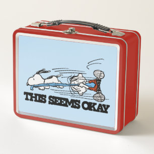 Peanuts   Snoopy & Linus Metal Lunch Box